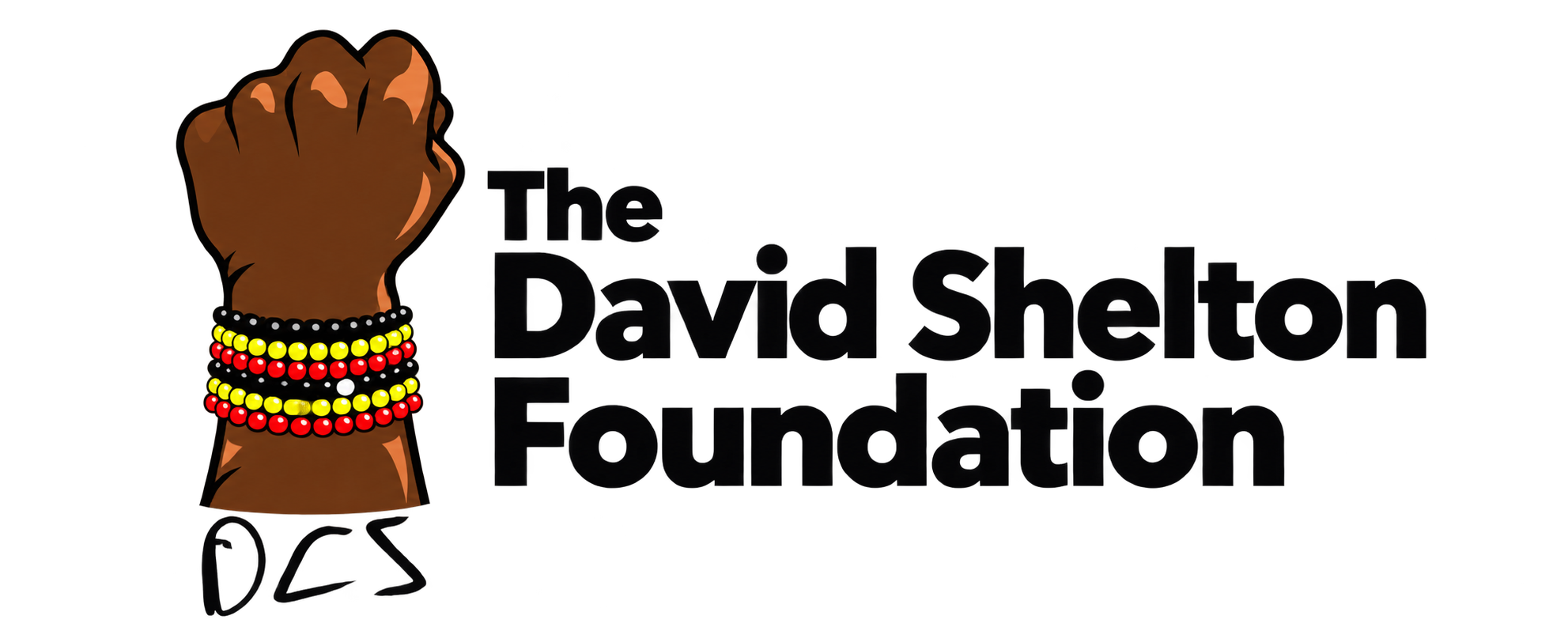 The David Shelton Foundation